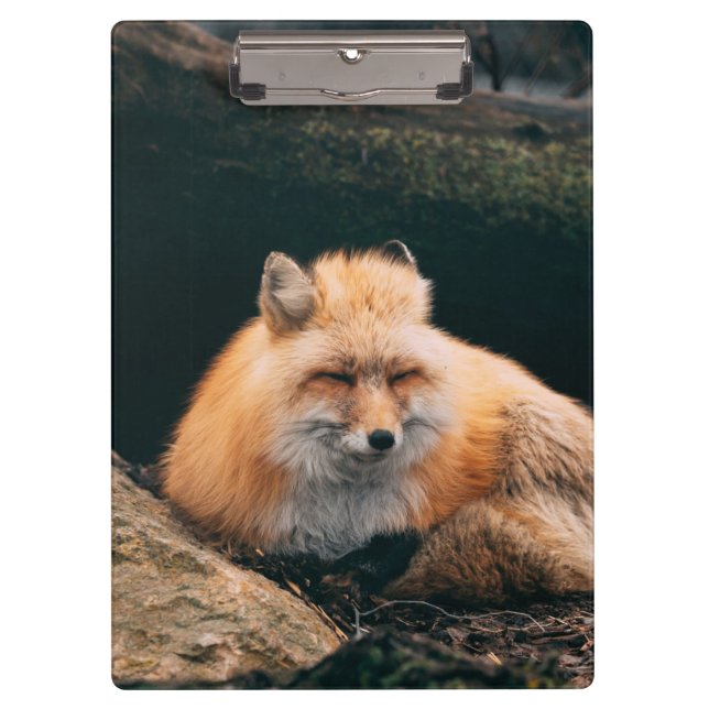 Red Fox Sleeping Clipboard (Front)
