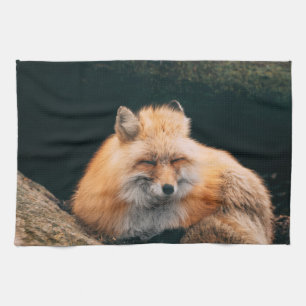 Red Fox Sleeping Kitchen Towel