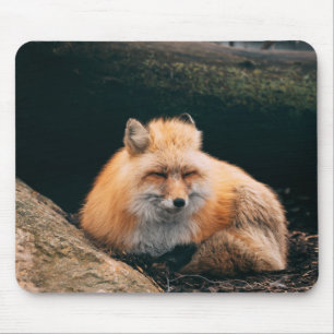 Red Fox Sleeping Mouse Pad