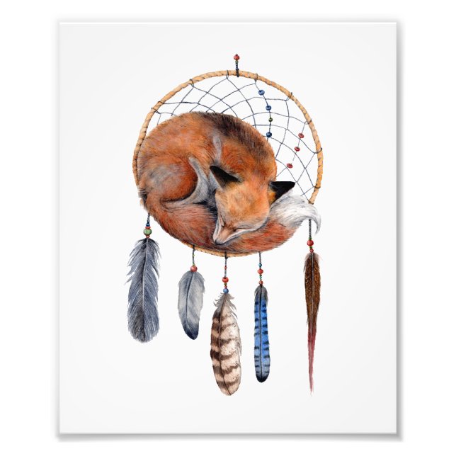 Red Fox Sleeping on Dreamcatcher Art Print (Front)