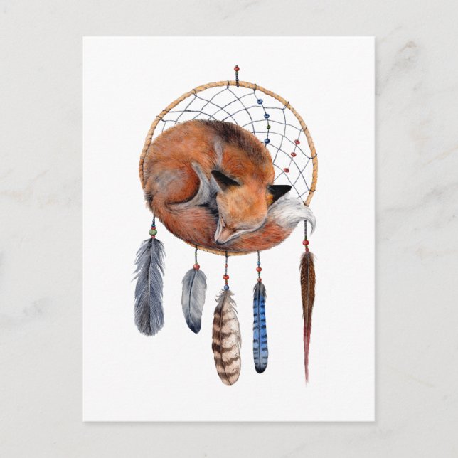 Red Fox Sleeping on Dreamcatcher Postcard (Front)