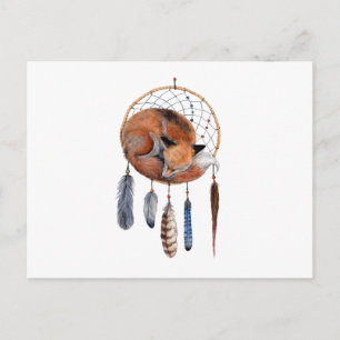 Red Fox Sleeping on Dreamcatcher Postcard