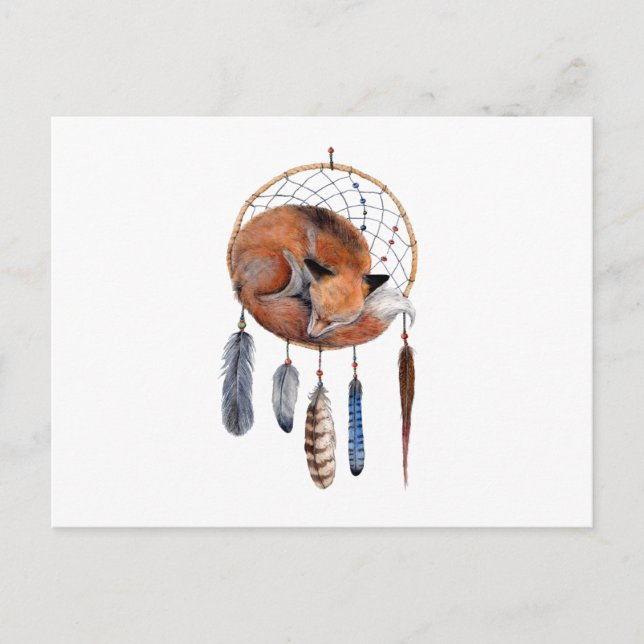 Red Fox Sleeping on Dreamcatcher Postcard (Front)