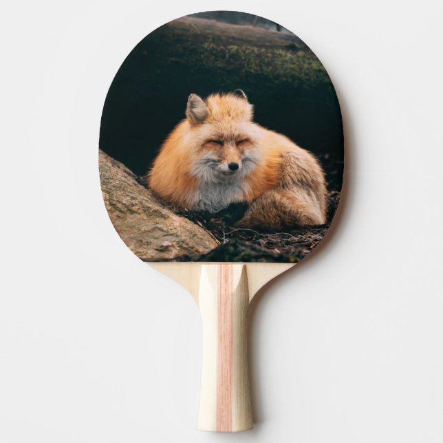 Red Fox Sleeping Ping Pong Paddle (Front)