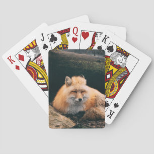 Red Fox Sleeping Playing Cards