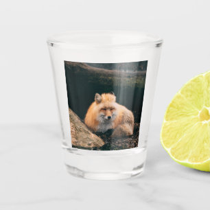 Red Fox Sleeping Shot Glass