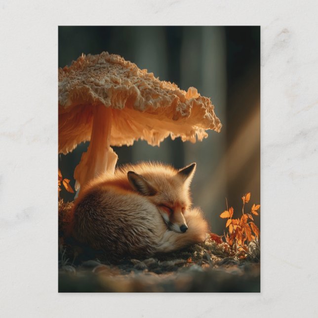 Red Fox Sleeping Under Giant Mushroom Postcard (Front)
