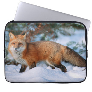 Red Fox Snow in Winter, Montana Laptop Sleeve