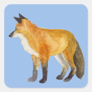 Red Fox Square Sticker
