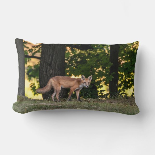  Red Fox Sun And Shade   Lumbar Pillow (Front)