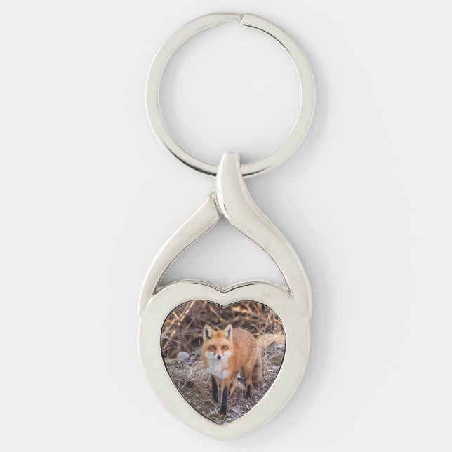 Red Fox up close and personal Keychain (Front)