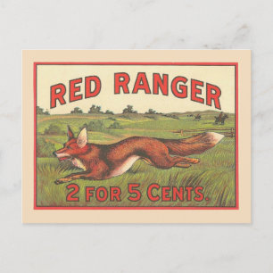 Red Fox Vintage Postcard