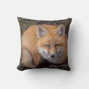 red fox, Vulpes vulpes, in fall colours Throw Pillow