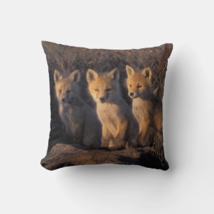 red fox, Vulpes vulpes, kits Throw Pillow
