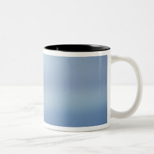red fox, Vulpes vulpes Two-Tone Coffee Mug