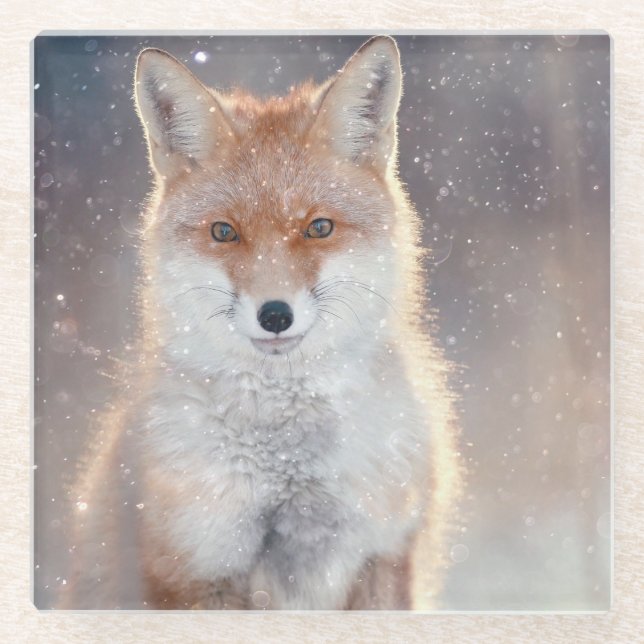Red fox, winter forest, scenic illustration. glass coaster (Front)