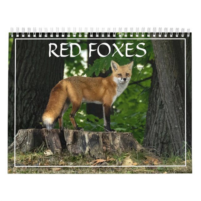 Red Foxes Calendar (Cover)