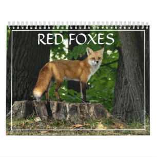 Red Foxes Calendar