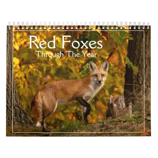 Red Foxes Through The Year Calendar (Cover)