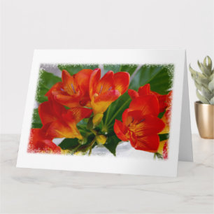 Red freesia card