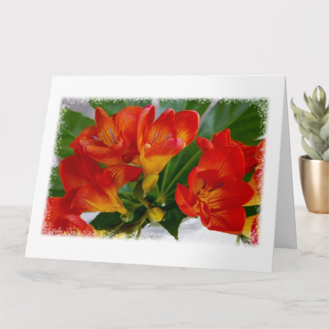 Red freesia card (Small Plant)