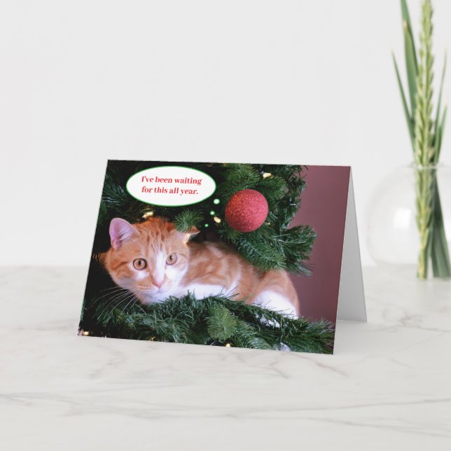 Red Funny Orange Cat  in a Christmas Tree  Holiday Card (Front)