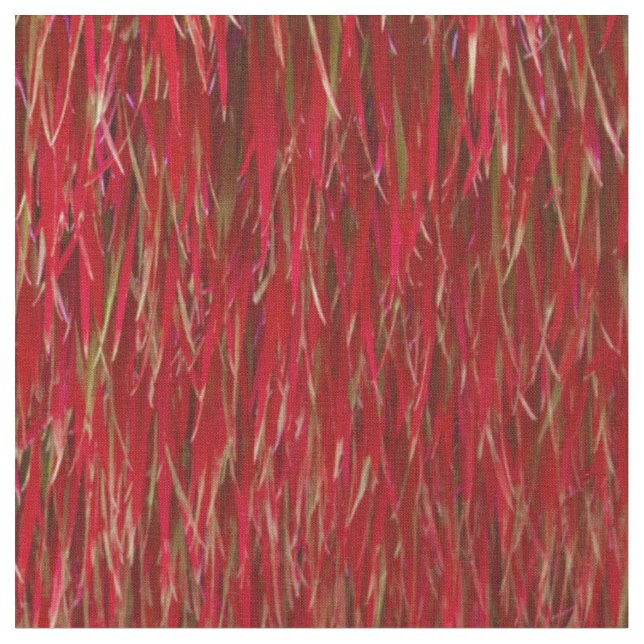 Red Fur Fabric (Close Up)