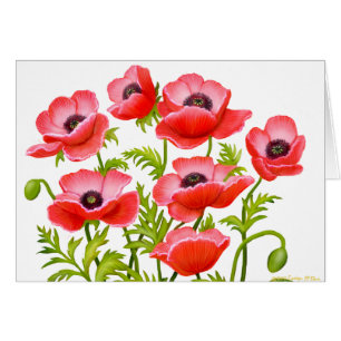 Red Garden Poppies Card