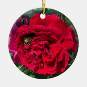 Red garden rose and bug ceramic ornament