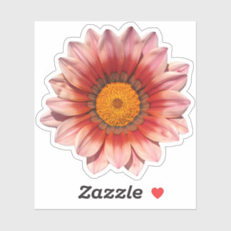 Red Gazania Treasure Flower Blossom