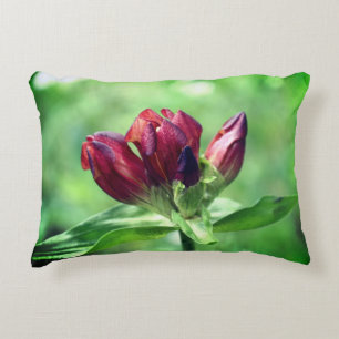 Red Gentian Flower In Bloom Close Up  Accent Pillow