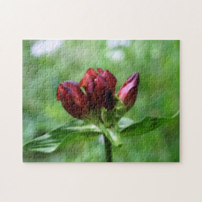 Red Gentian Flower In Bloom Orton Effect Jigsaw Puzzle (Horizontal)