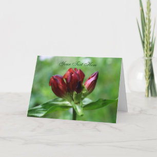 Red Gentian Flower Photo Card