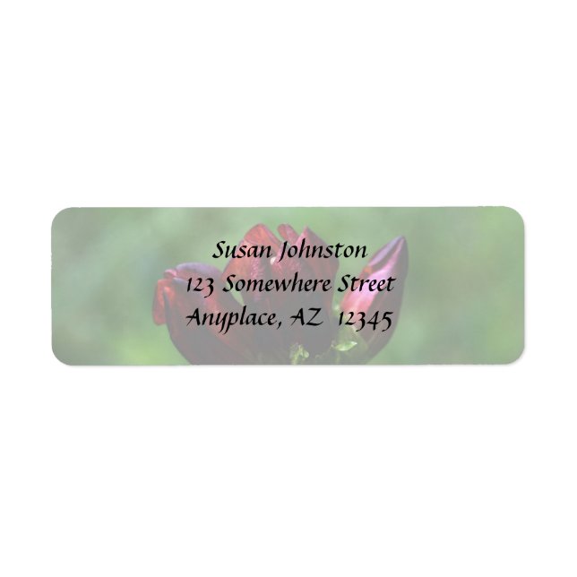 Red Gentian In Bloom Flower Address Label (Front)