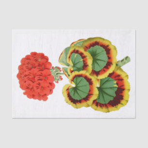 Red Geranium Botanical 10" X 15" Tissue Paper