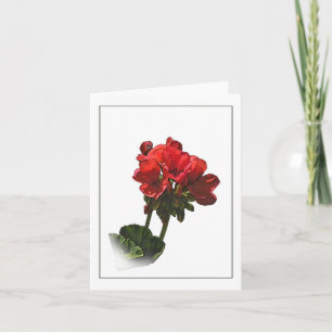 Red Geranium Botanical Sketch Note Card