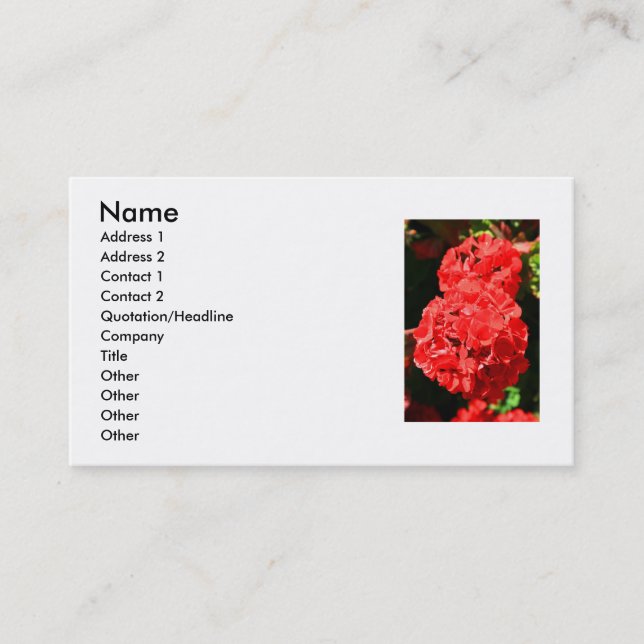 Red Geranium Flowers Business Card (Front)