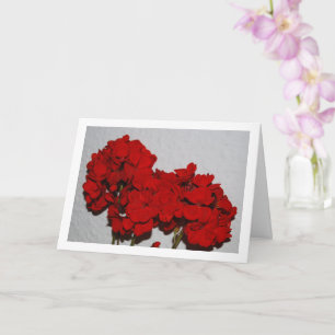 Red Geranium Flowers, Floral Portrait Card