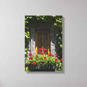 Red Geranium Flowers Window Box Canvas Print