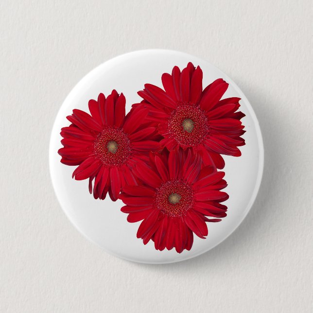 Red Gerber Daisy Close Up Photographs 2 Inch Round Button (Front)