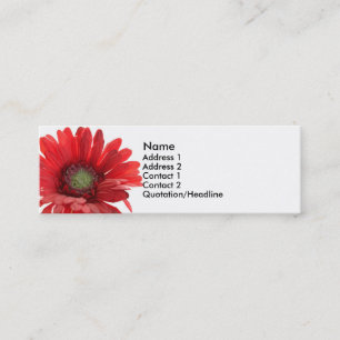 Red Gerber Daisy Contact Card