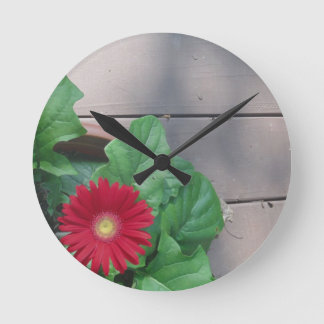 Red Gerber Daisy flower Round Clock
