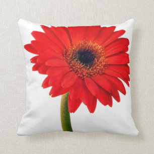Red Gerber Daisy Flowers Floral Daisies Flower Throw Pillow