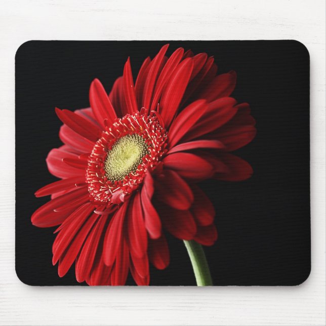 Red Gerber Daisy Mouse Pad (Front)