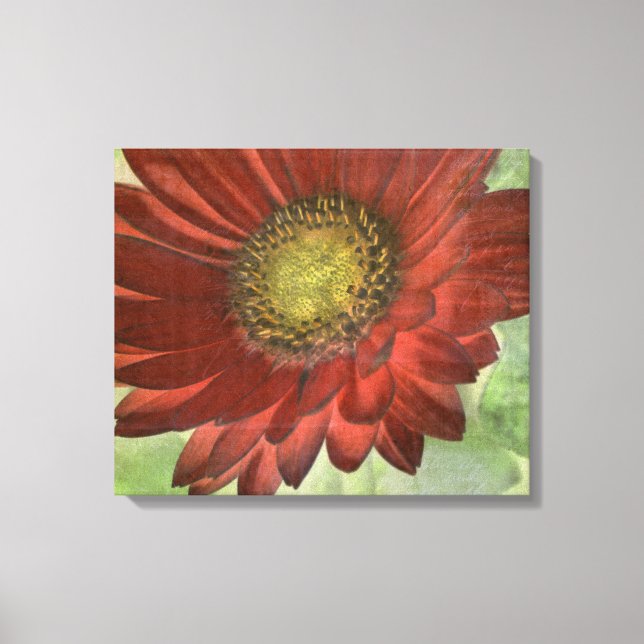 Red Gerbera Canvas Print (Front)