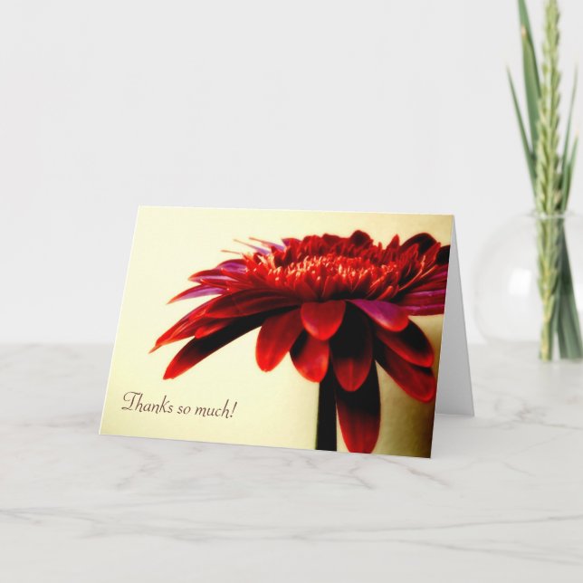 Red Gerbera Carte de remerciements (Devant)