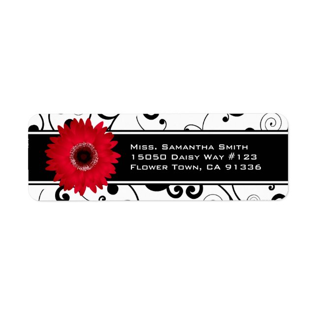 Red Gerbera Daisy Black & White Scroll (Front)