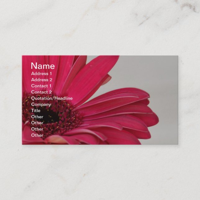 Red Gerbera Daisy Business Card (Front)