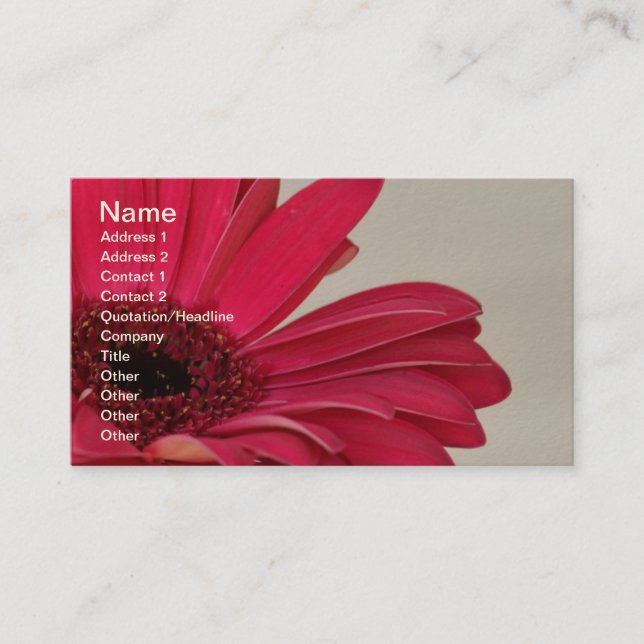 Red Gerbera Daisy Carte de visite (Devant)