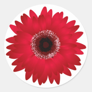 Red Gerbera Daisy Classic Round Sticker